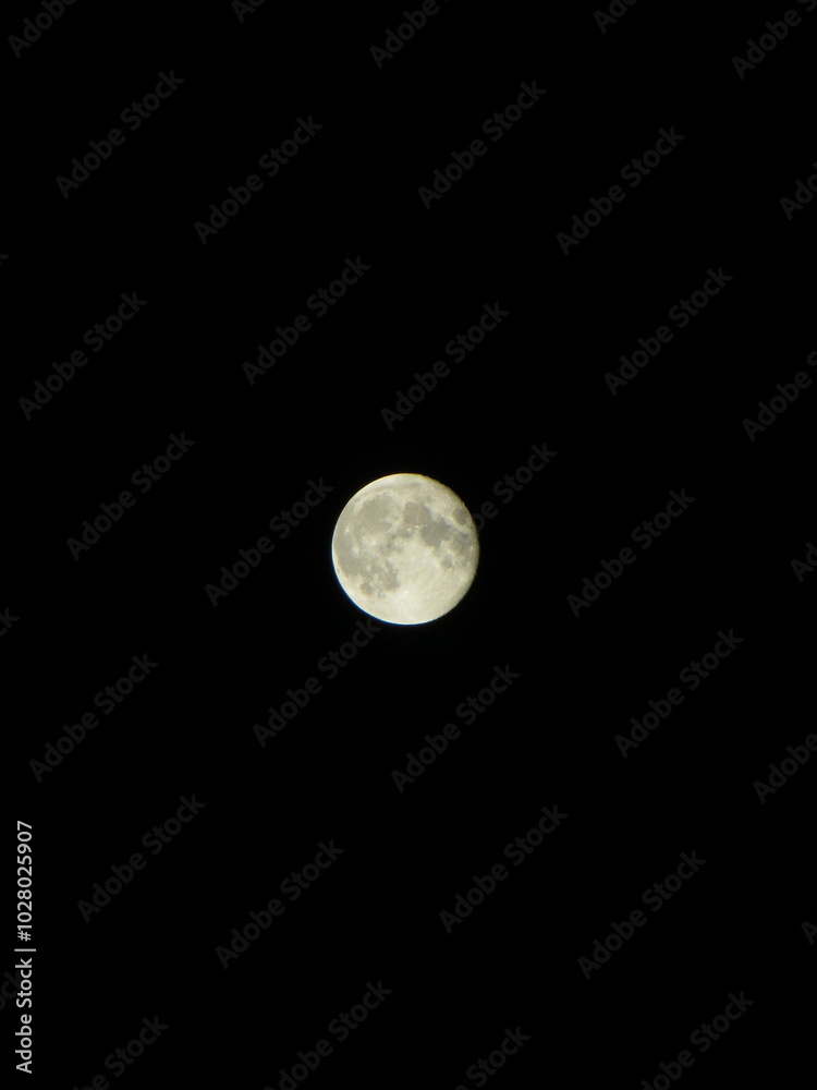 Obraz premium moon in the sky