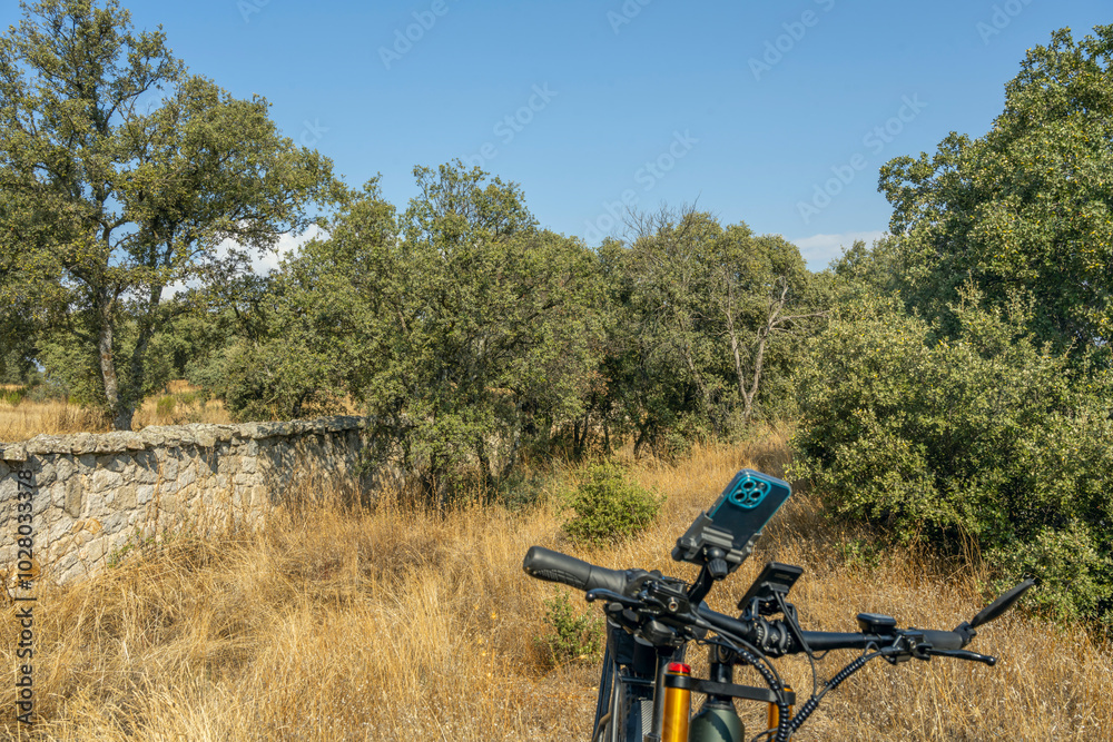 Naklejka premium Find out about regulations and restrictions for using electric bikes on trails.