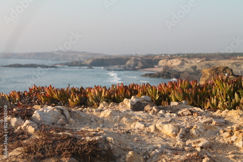 Porto Covo photo