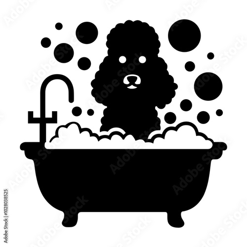 Poodle in Bathtub