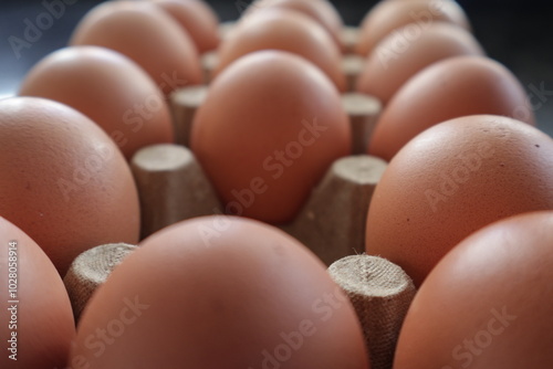 Una toma de cerca de varios huevos fresco de gallina para comer colocado en un cartón. photo