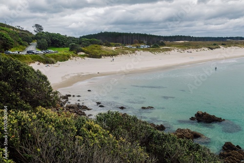 Native bush and the calm sandy beach of Te Arai Beach, Auckland, New Zealand.