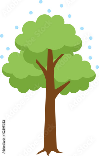 Transpiration Illustration