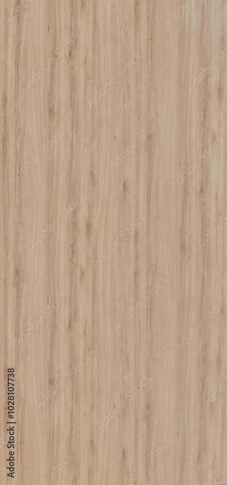 wood Texture wood Texture