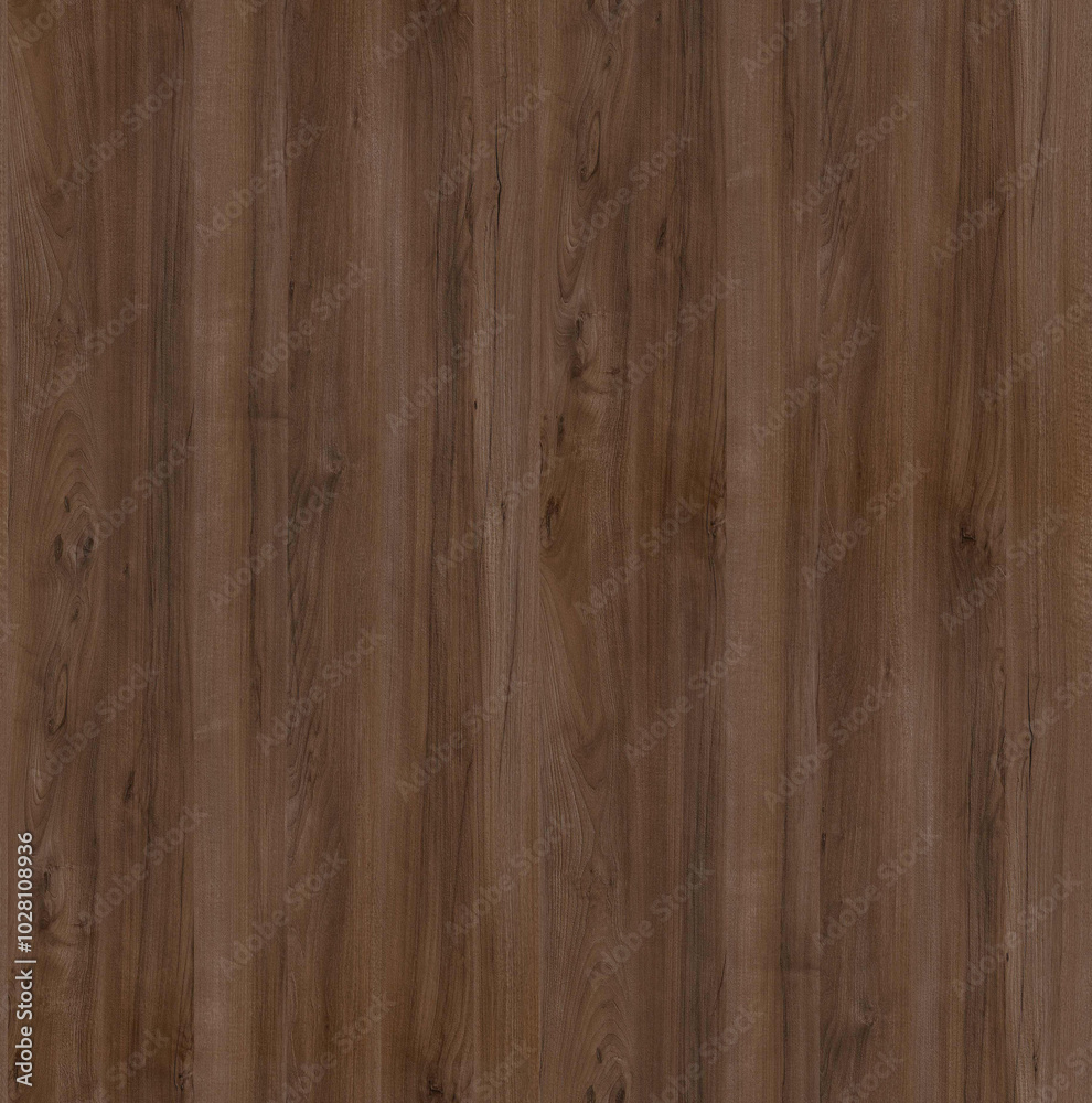 wood Texture wood Texture