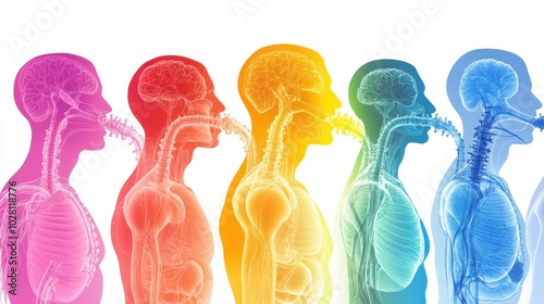 Human figures with respiratory systems, various color overlays close up, focus on, copy space bold color gradients, Double exposure silhouette with anatomy and structure