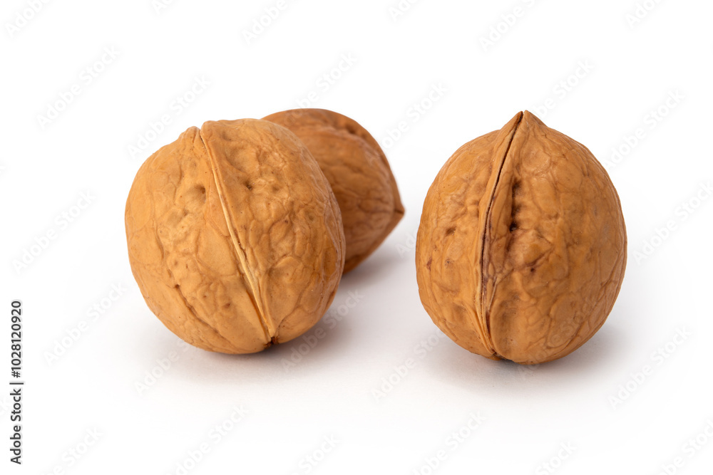 Collection of Walnuts isolated on white background, Walnuts kernels on White Background Collection of Walnuts isolated on white background, Walnuts kernels on White Background