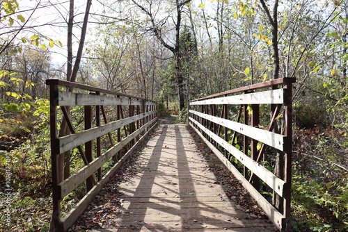 Foot bridge in wood in a forest. Hiking and outdoor in autumn. Autumn activities and walking in forest. outdoor landscaping in a wood. Autumn or fall background.