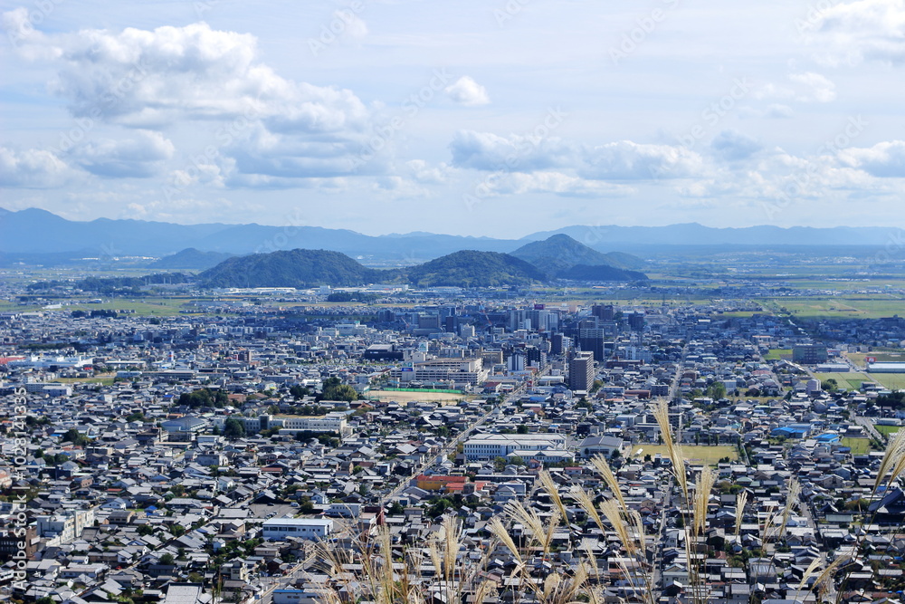 Obraz premium 近江八幡山城の出丸跡のすすき越しに見る近江八幡市の風景