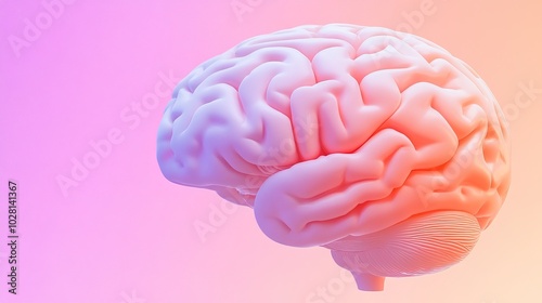 Close-up of human brain with intricate neural pathways, symbolizing cognitive biases and complex thought processes, ideal for educational or scientific presentations.