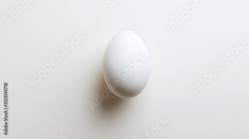 White egg - isolated on white background. 