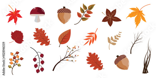 Autumn season banner background natural color 