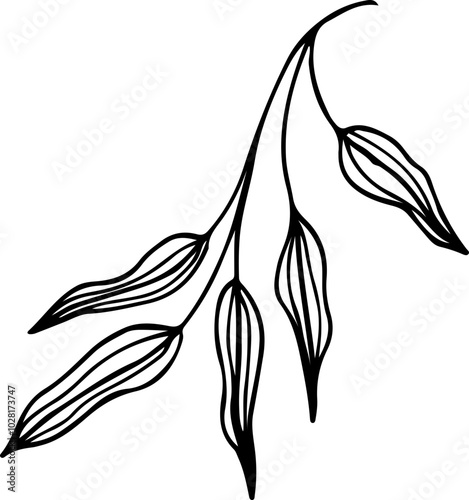 hand drawn plant leaves branch outline vintage style illustration