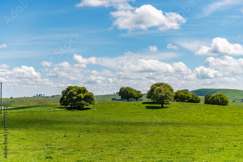 Rural fields and paddocks in the Blayney Shire photo