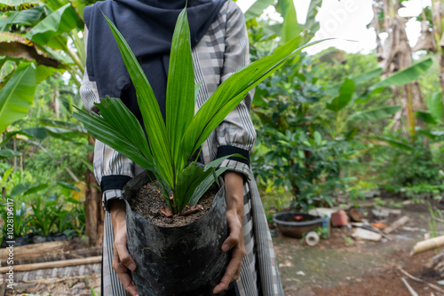 a woman is holding palm oil seeds in a plastic polybag