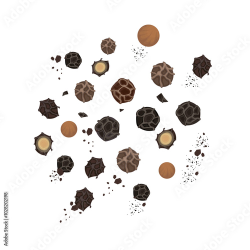 Vector Illustration Logo Clipart Whole and Ground peppercorns or Black pepper