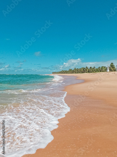 Praia do Gunga, Tropical Paradise in Brazil photo