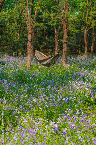 Summer Scenery of Beijing Nanyuan Forest Wetland Park photo