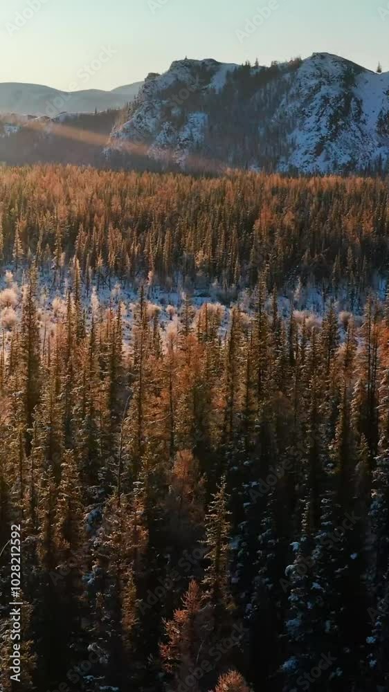 Aerial view of mountain during autumn