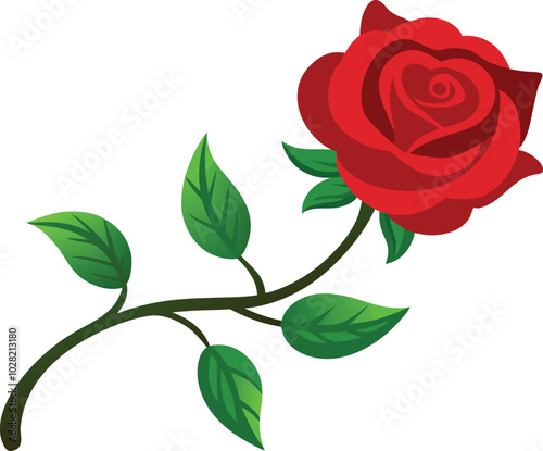 Single red rose vector illustration isolated on white background 