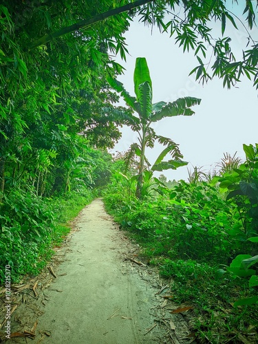 Beautiful landscape of alpine meadow in the mountains  flower 