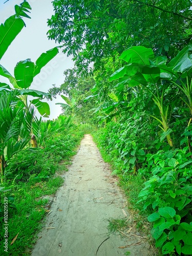 Beautiful landscape of alpine meadow in the mountains  flower 