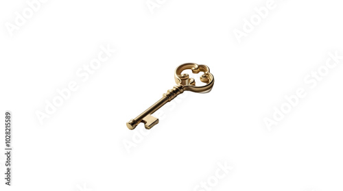 key isolated on white background 