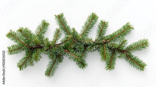 Beautiful Pine Branch Showcasing Fresh Green Needles and Foliage