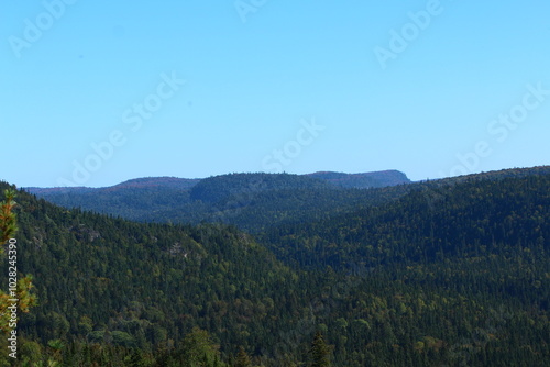 landscape with trees and clouds