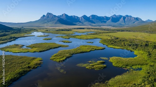 2408 15.A serene aerial view of Main Dam at Drie Kuilen Nature Reserve, with expansive marshland spreading out in all directions. The wetlands are interspersed with winding waterways and vibrant