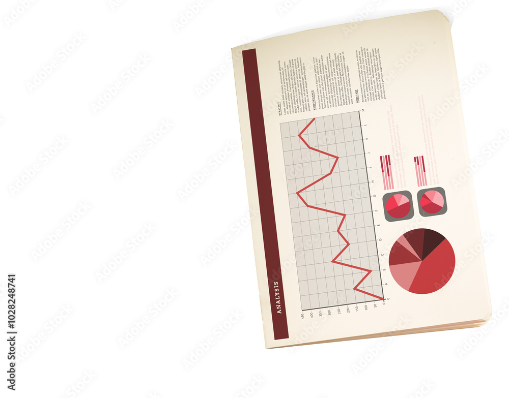 Obraz premium Book showing pie charts and graph