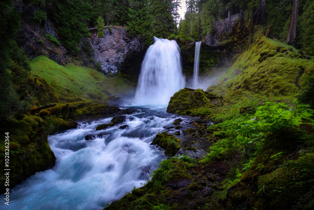 Fototapeta premium waterfall in the forest