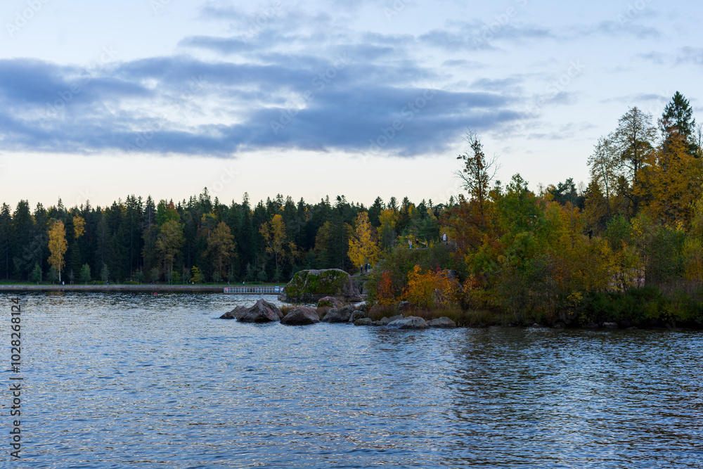 Yellowed trees on the shore of the bay, autumn landscape of Monrepos Park in Vyborg, Russia Yellowed trees on the shore of the bay, autumn landscape of Monrepos Park in Vyborg, Russia