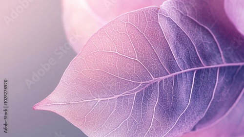Delicate Pink Leaf Close-up