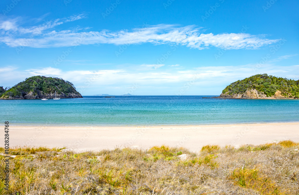 Matarouri Beach, North Island, New Zealand, Oceania. Matarouri Beach, North Island, New Zealand, Oceania.