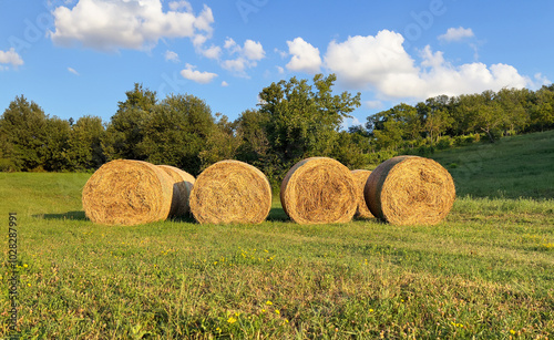 Scenic view of Emilia-Romagna hills with cultivated fields and hay bales, showcasing the region’s rural beauty and agricultural landscape photo