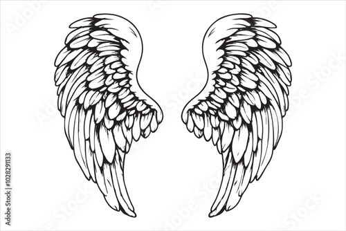 Angel amp Bird Wing Vector Design 