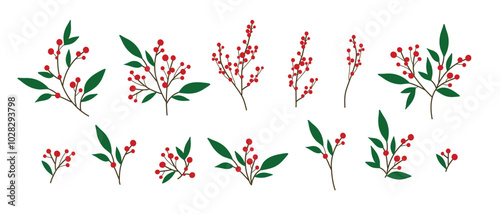 Red Berry spray, Christmas tree branch Decoration, Xmas holiday decoration. vector illustration isolated on white background