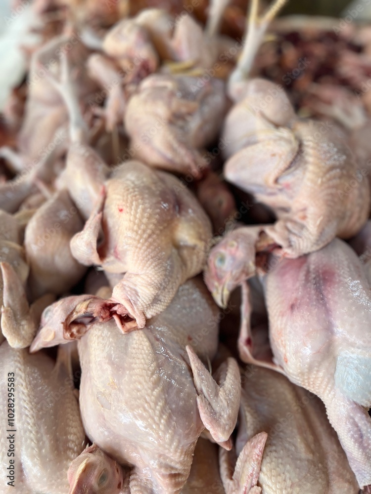 Fresh chicken for sale in the meat market.Fresh chickens for sale in a butcher shop.Chicken meat on the stall. selling chicken meat in traditional market. traditional chicken butcher stall. Fresh chicken for sale in the meat market.Fresh chickens for sale in a butcher shop.Chicken meat on the stall. selling chicken meat in traditional market. traditional chicken butcher stall.