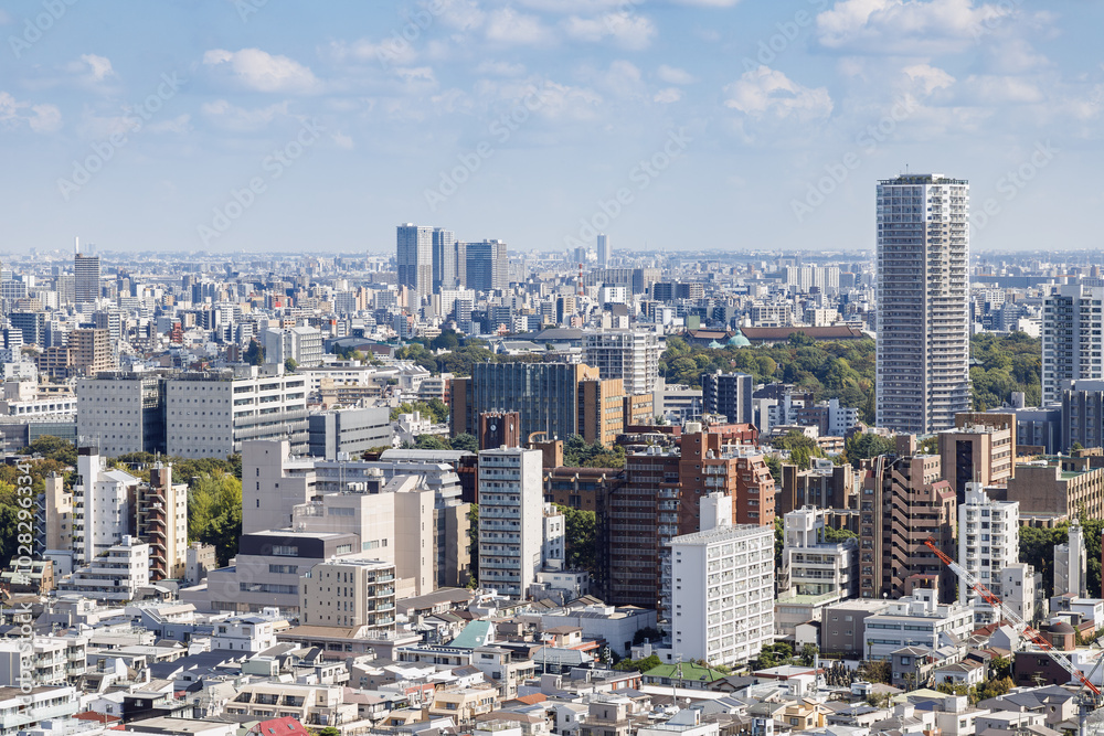 文京シビックセンターから見た東京大学、東京国立博物館方面の風景