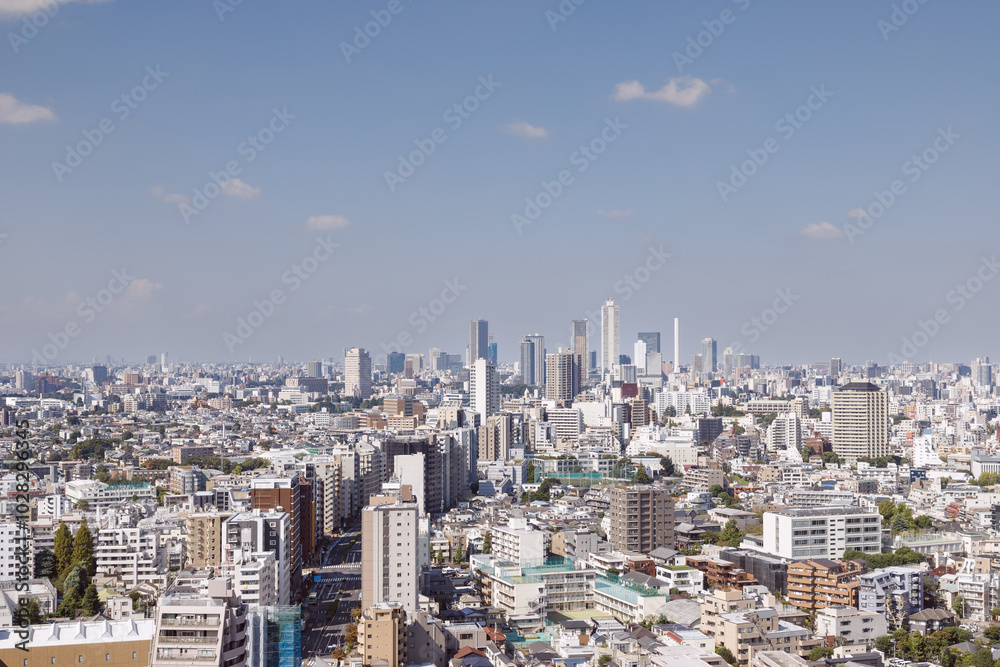Obraz premium 文京シビックセンターから見た春日通りと池袋方面の風景