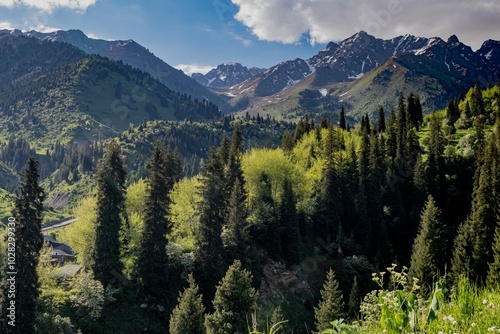 Eco-trail on Medeo overlooking the Tien Shan Mountains, Kazakhstan, Almaty. Summer, sunny