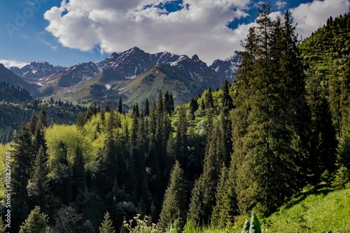 Eco-trail on Medeo overlooking the Tien Shan Mountains, Kazakhstan, Almaty. Summer, sunny