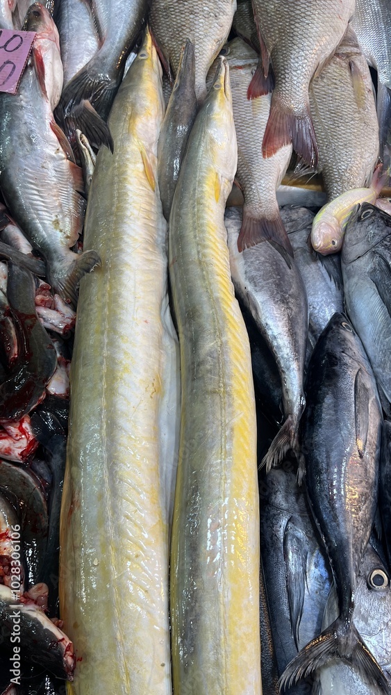 Obraz premium Fresh Fish for sale in the seafood market.Fresh fish for sale in a butcher shop.Fish meat on the stall. selling fresh fish in traditional market. traditional butcher stall.