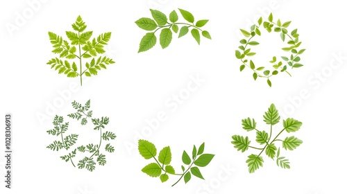 Minimalist Circular Leaf Pattern Representing Natural Cycle and Life Flow