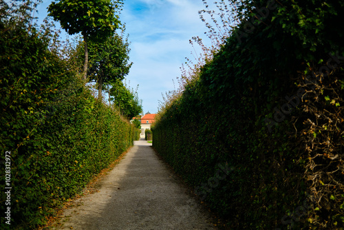 Big bush corridor at autumn photo