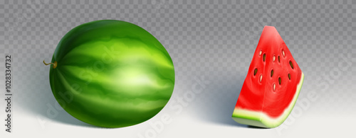 Watermelon berry and piece set isolated on transparent background. Vector realistic illustration of green summer fruit with sweet red pulp and seeds, delicious juicy dessert, ripe harvest on market