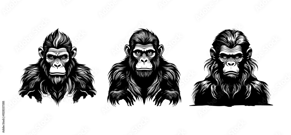 Fototapeta premium set of ape man silhouettes on isolated background