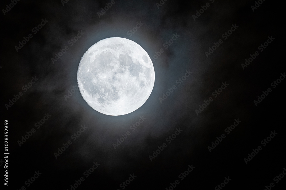 Obraz premium 夜空に輝く美しい月
