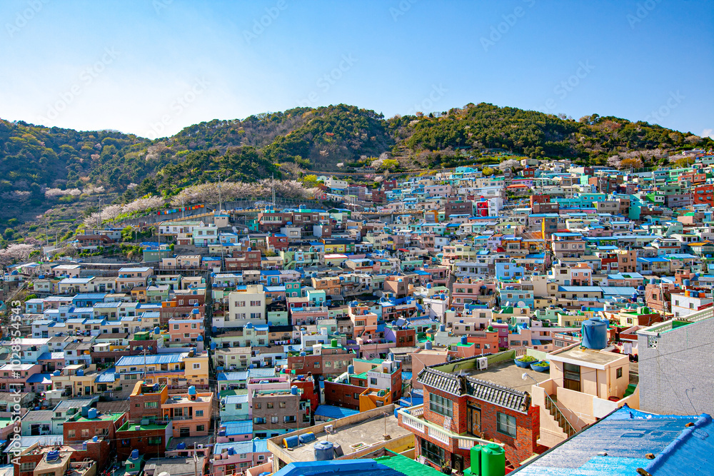 Fototapeta premium 한국 부산 감천마을